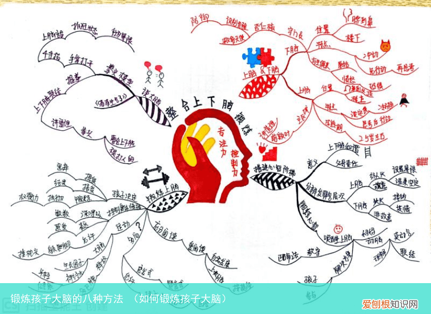 如何锻炼孩子大脑 锻炼孩子大脑的八种方法