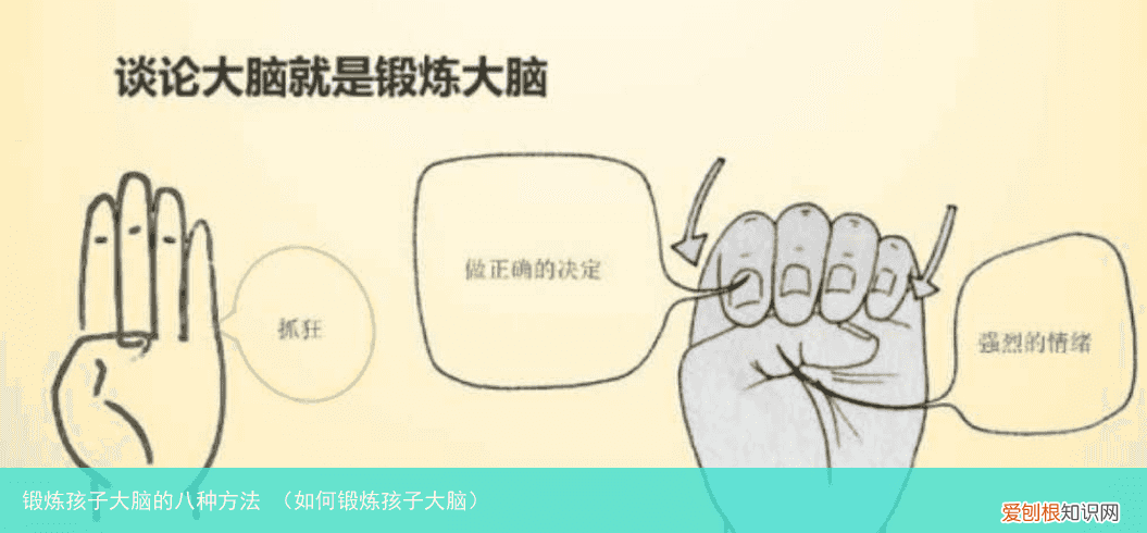 如何锻炼孩子大脑 锻炼孩子大脑的八种方法