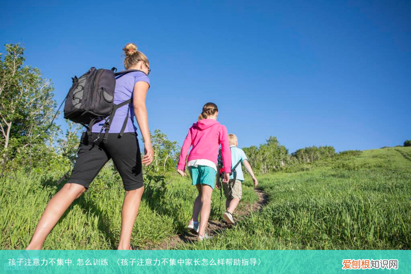 孩子注意力不集中家长怎么样帮助指导 孩子注意力不集中,怎么训练
