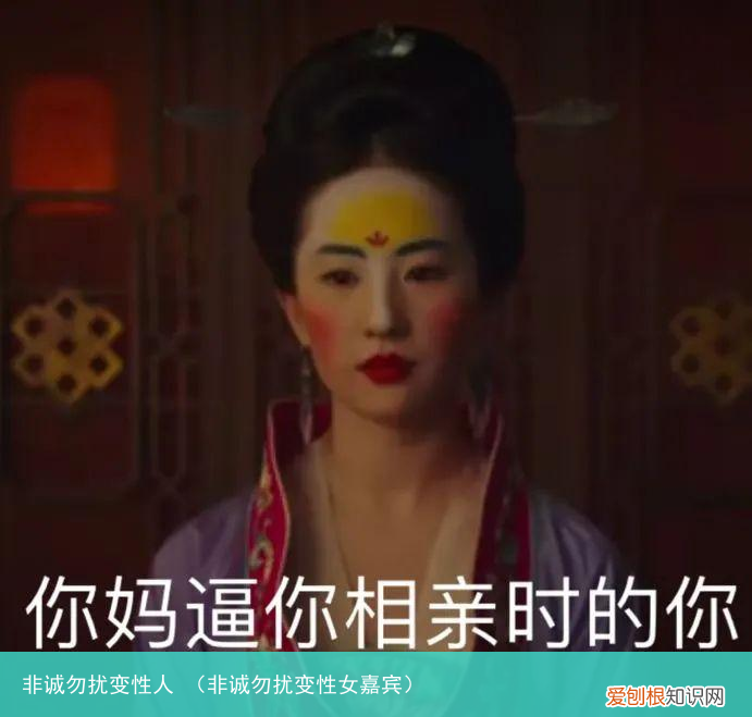 非诚勿扰变性女嘉宾 非诚勿扰变性人