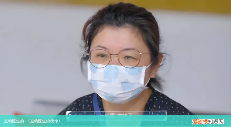 宠物医生的使命 宠物医生的