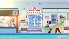 宠物医生的使命 宠物医生的