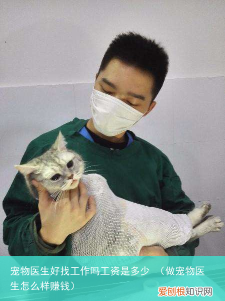 做宠物医生怎么样赚钱 宠物医生好找工作吗工资是多少