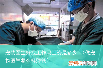做宠物医生怎么样赚钱 宠物医生好找工作吗工资是多少