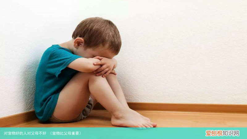 宠物比父母重要 对宠物好的人对父母不好