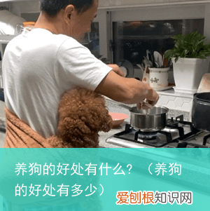 养狗的好处有多少 养狗的好处有什么?