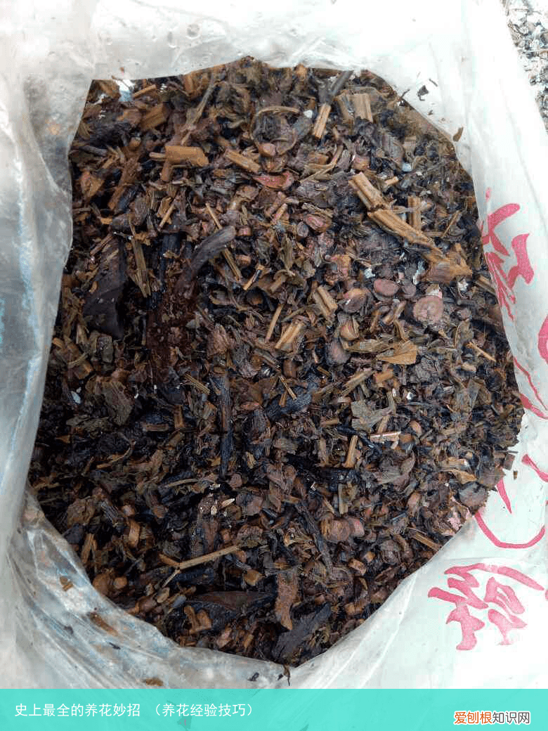 养花经验技巧 史上最全的养花妙招