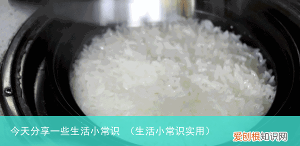 生活小常识实用 今天分享一些生活小常识