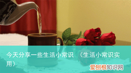 生活小常识实用 今天分享一些生活小常识