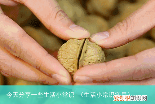 生活小常识实用 今天分享一些生活小常识
