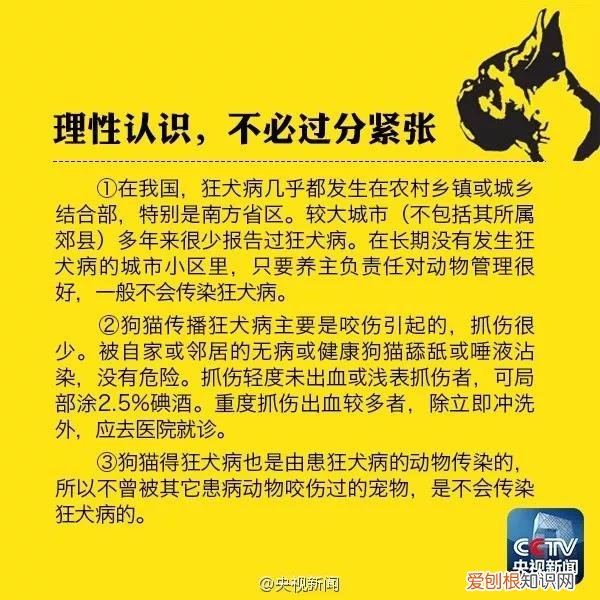 被猫抓需要打几针,被猫抓需要打几针疫苗,被猫抓伤要打几针，被猫抓了打疫苗针几针
