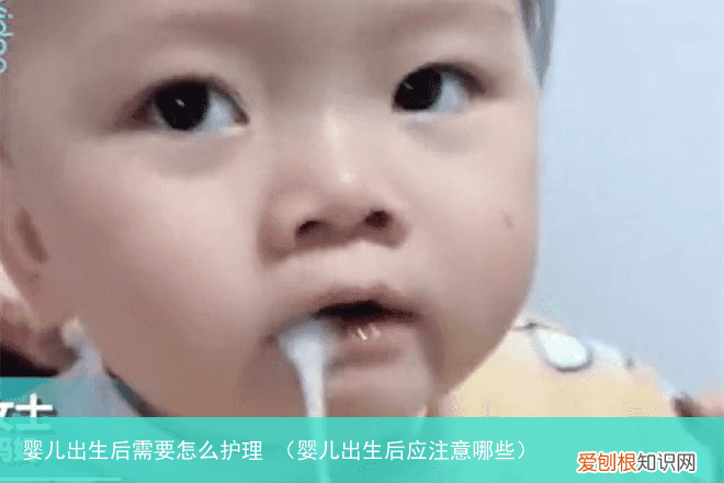 婴儿出生后应注意哪些 婴儿出生后需要怎么护理