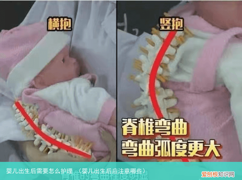 婴儿出生后应注意哪些 婴儿出生后需要怎么护理