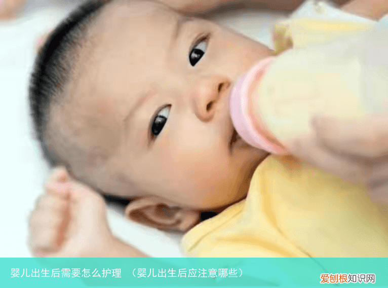 婴儿出生后应注意哪些 婴儿出生后需要怎么护理