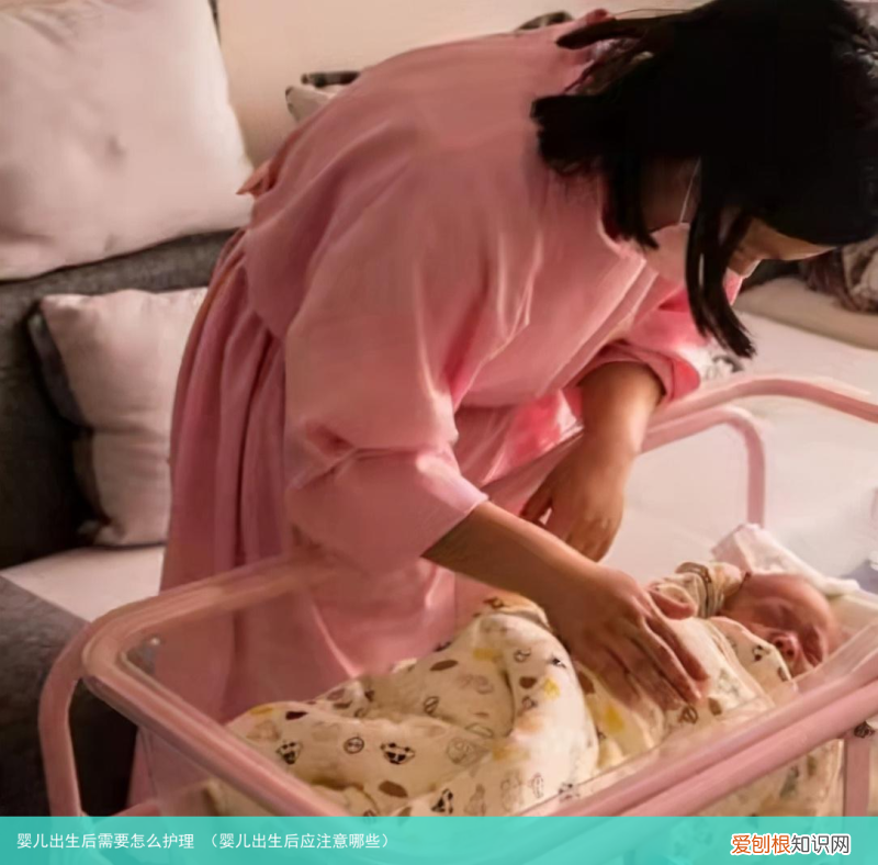 婴儿出生后应注意哪些 婴儿出生后需要怎么护理