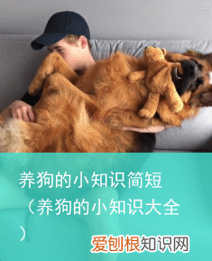 养狗的小知识大全 养狗的小知识简短