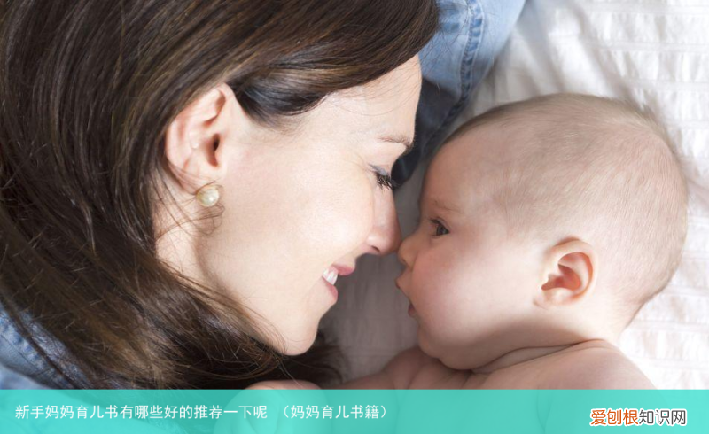 妈妈育儿书籍 新手妈妈育儿书有哪些好的推荐一下呢