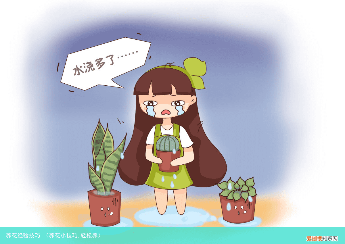 养花小技巧,轻松养 养花经验技巧