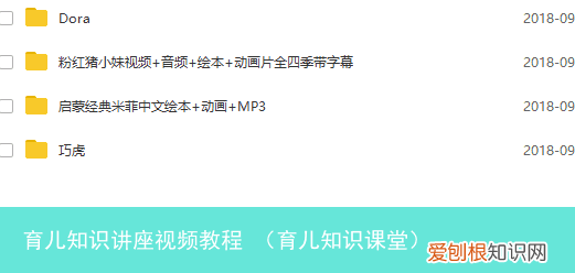 育儿知识课堂 育儿知识讲座视频教程