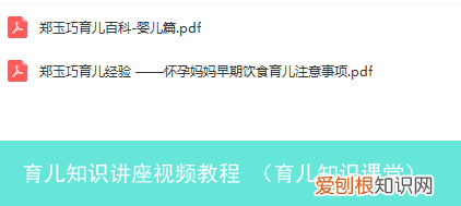 育儿知识课堂 育儿知识讲座视频教程