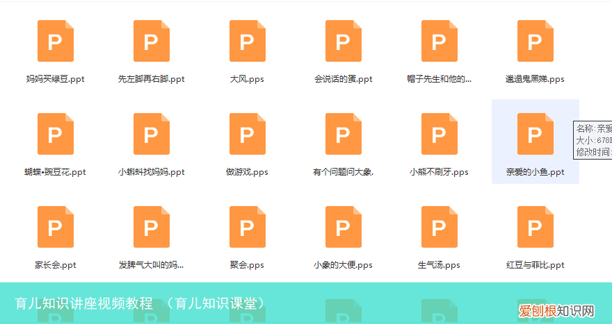 育儿知识课堂 育儿知识讲座视频教程