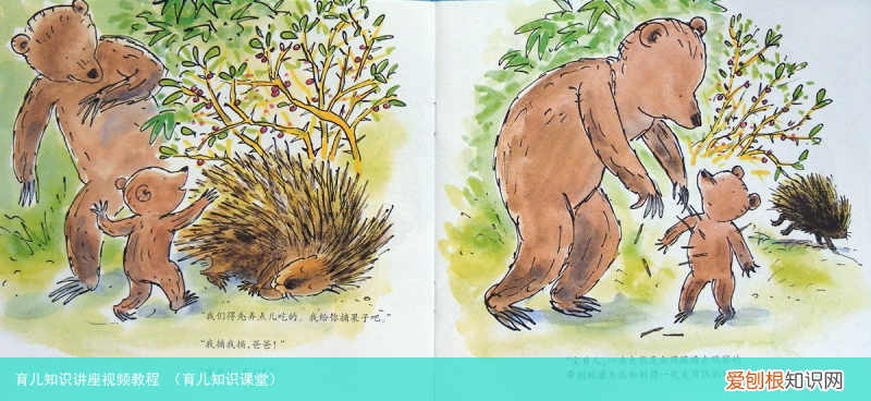 育儿知识课堂 育儿知识讲座视频教程