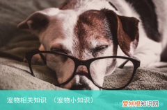 宠物小知识 宠物相关知识
