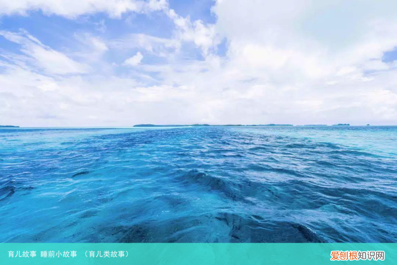 育儿类故事 育儿故事 睡前小故事