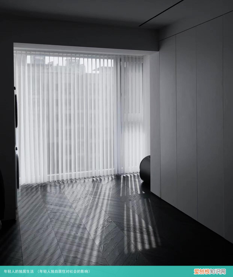 年轻人独自居住对社会的影响 年轻人的独居生活