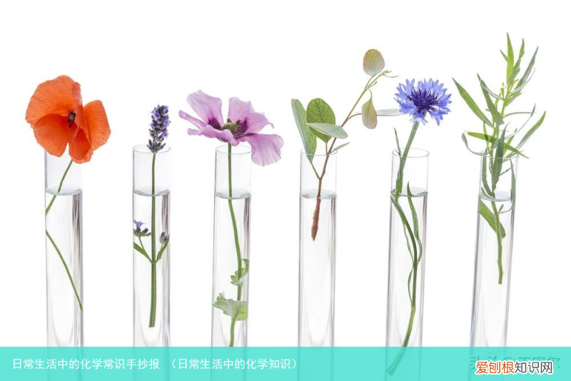日常生活中的化学知识 日常生活中的化学常识手抄报