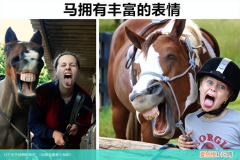 动物的奇妙小知识 27个关于动物的知识
