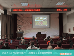家庭养花小常识大全视频 家庭养花小常识大全图片