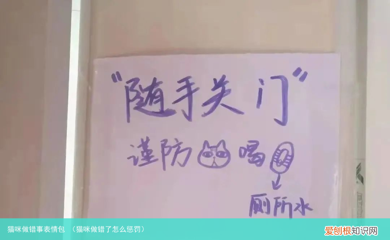 猫咪做错了怎么惩罚 猫咪做错事表情包