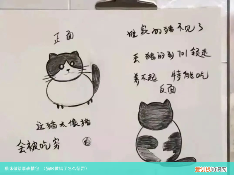 猫咪做错了怎么惩罚 猫咪做错事表情包