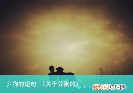 关于养狗的 养狗的短句