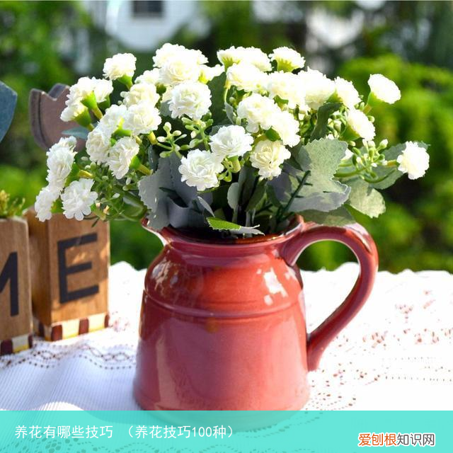 养花技巧100种 养花有哪些技巧