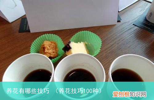 养花技巧100种 养花有哪些技巧