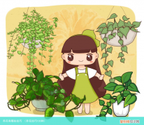 养花技巧100种 养花有哪些技巧
