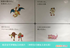 神奇宝贝鲤鱼王进化图 精灵宝可梦鲤鱼王的图片