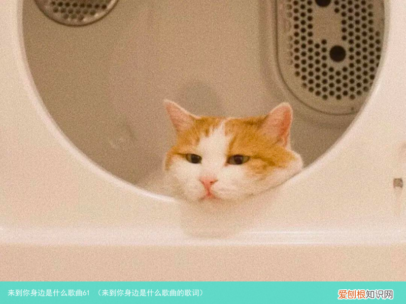来到你身边是什么歌曲的歌词 来到你身边是什么歌曲61