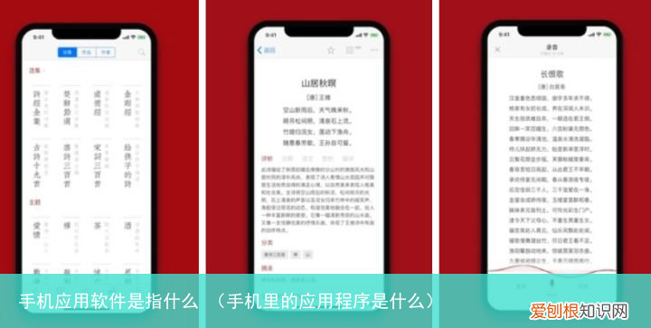 手机里的应用程序是什么 手机应用软件是指什么