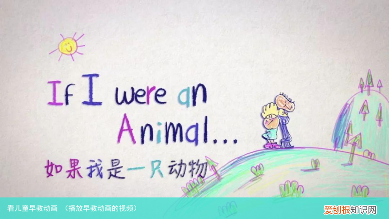 播放早教动画的视频 看儿童早教动画