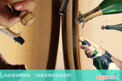 到底是啥呀告诉我呗 到底是啥呀妈妈