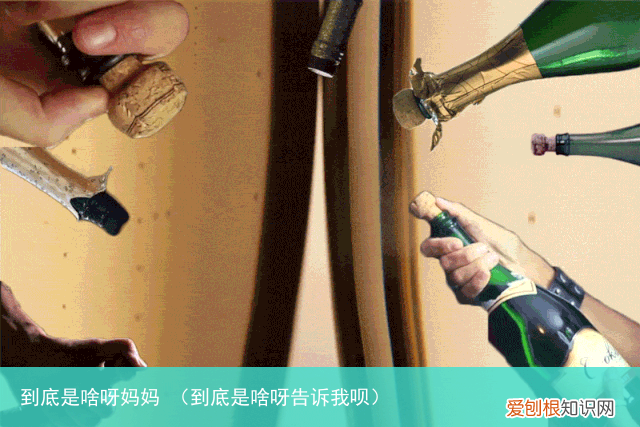 到底是啥呀告诉我呗 到底是啥呀妈妈