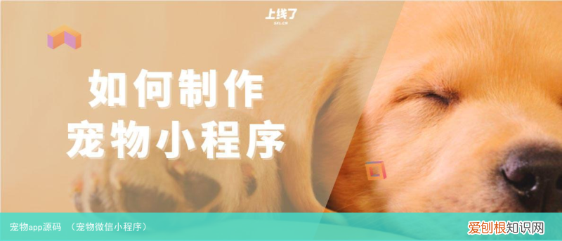 宠物微信小程序 宠物app源码