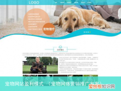 宠物网络营销推广方案 宠物网站盈利模式