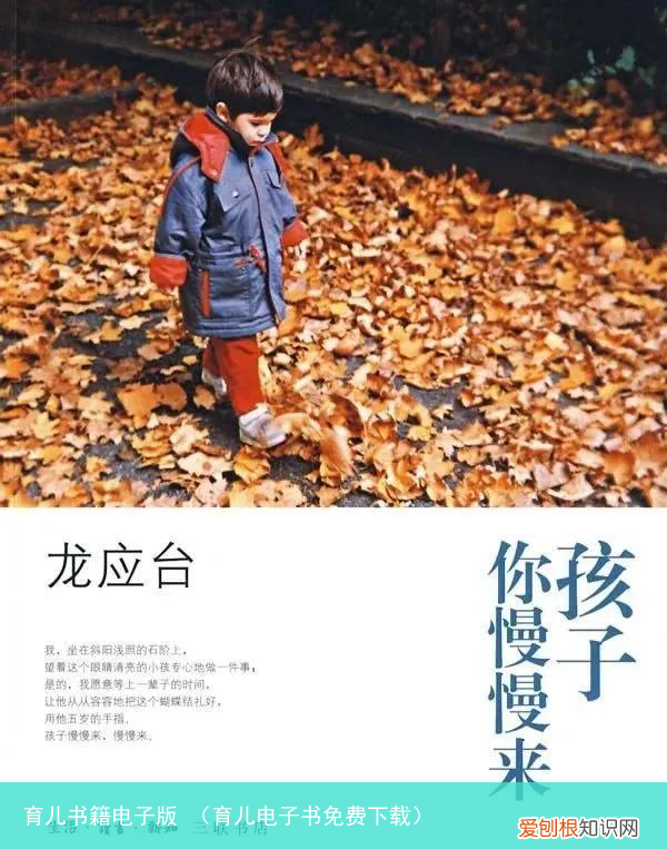 育儿电子书免费下载 育儿书籍电子版
