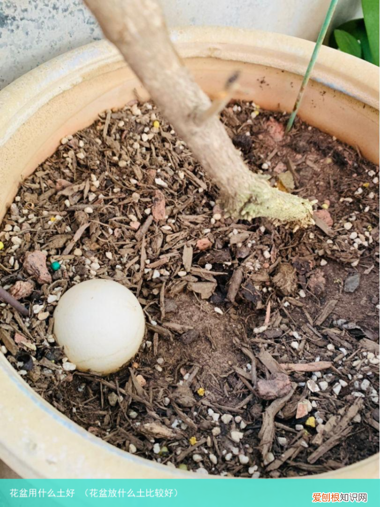 花盆放什么土比较好 花盆用什么土好