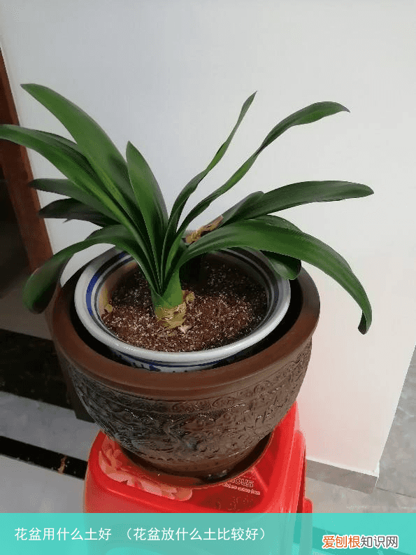 花盆放什么土比较好 花盆用什么土好