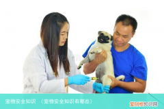 宠物安全知识有哪些 宠物安全知识